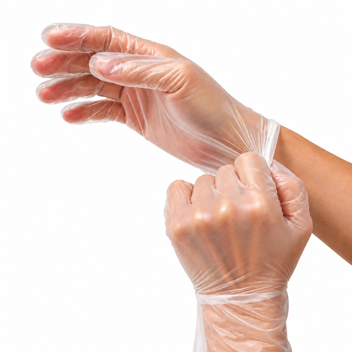Gloveman Premium Vinyl Gloves (Powder Free)
