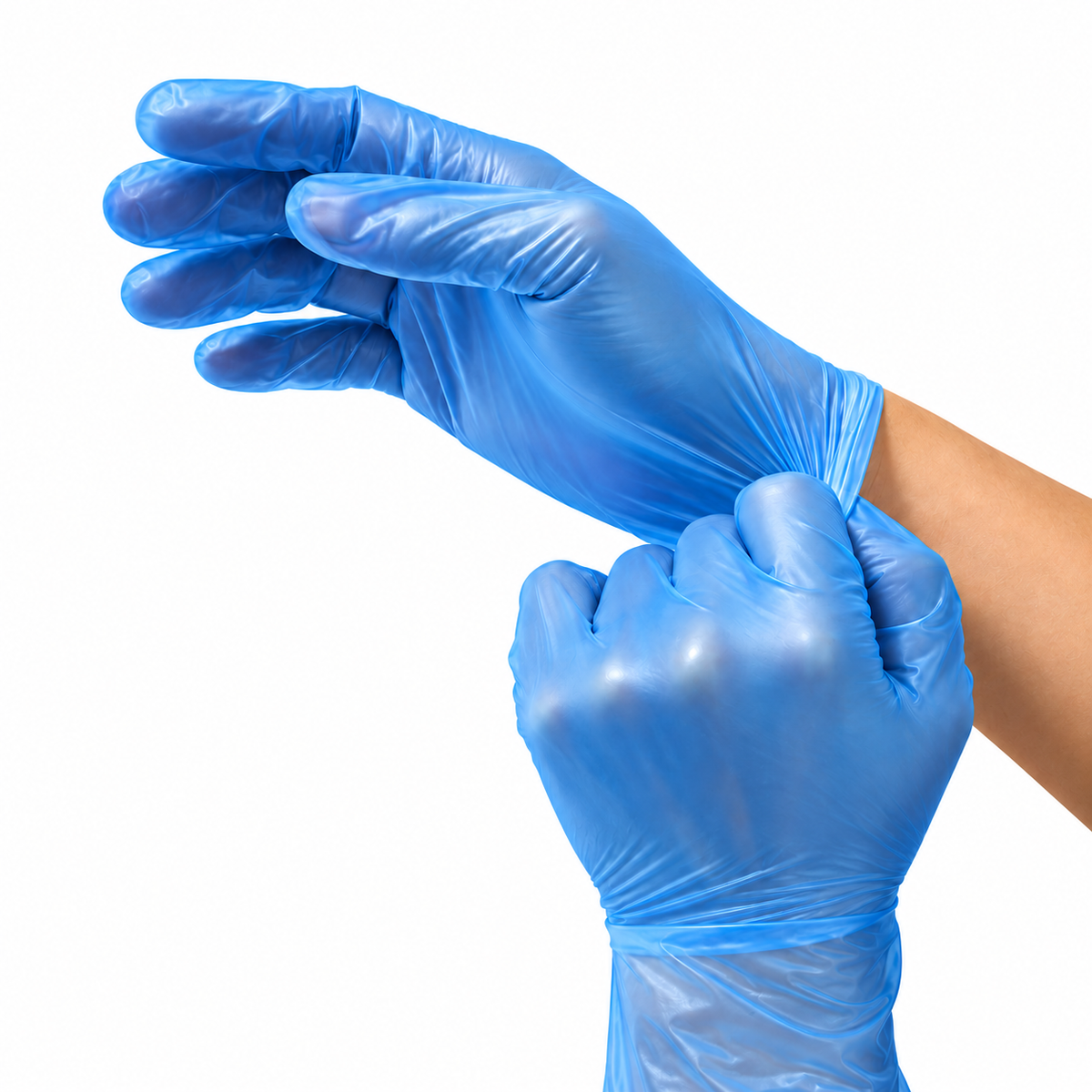Gloveman Premium Vinyl Gloves (Powder Free)